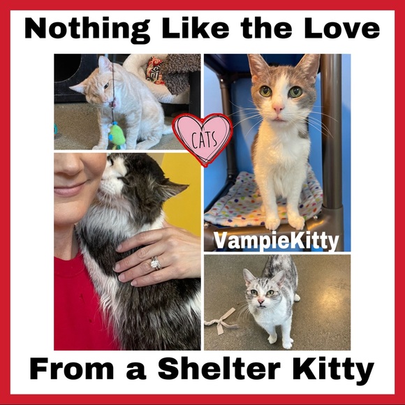 CLOSED ♥️ PFFS SEE "JUST IN" FOLLOW GAME ♥️ I Appreciate You!!! - Picture 6 of 8